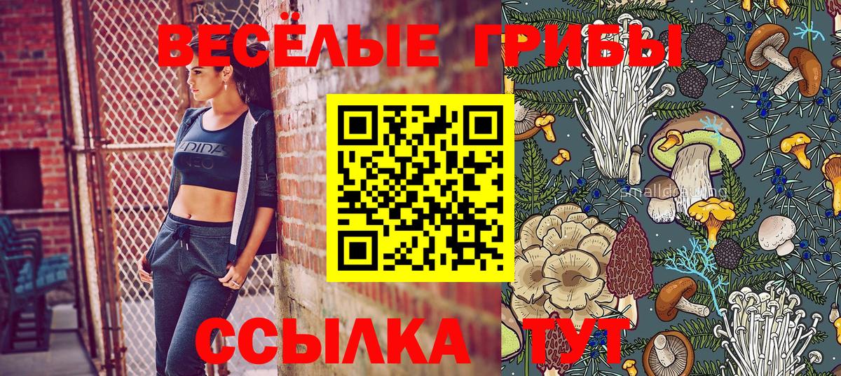 Псилоцибиновые грибы мицелий Всеволожск