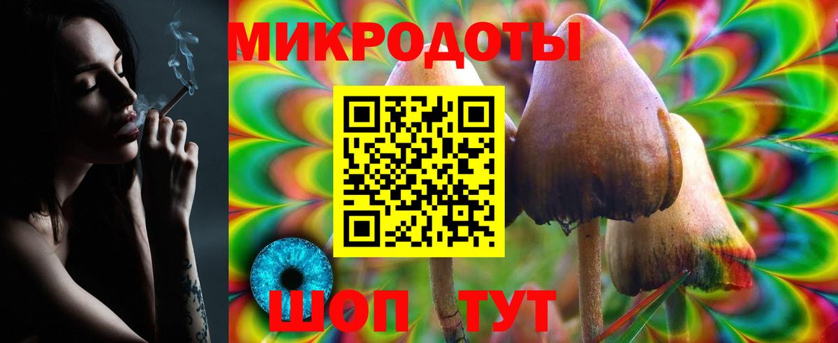 Всеволожск  Псилоцибиновые грибы мухоморы  Псилоцибиновые грибы GOLDEN TEACHER  купить наркоту  Вход с VPN 